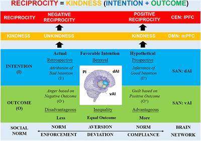 The Critical Role of the Right Dorsal and Ventral Anterior Insula in Reciprocity: Evidence From the Trust and Ultimatum Games